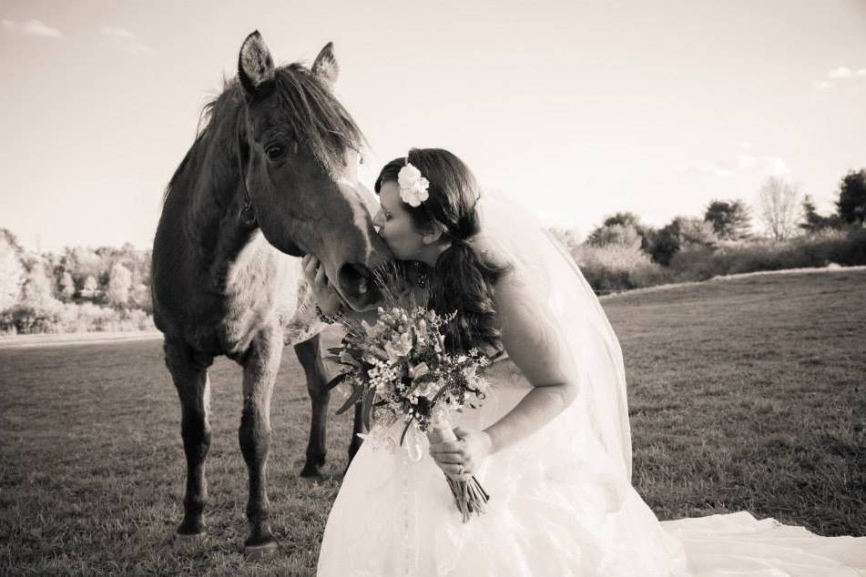 The bride and a horse