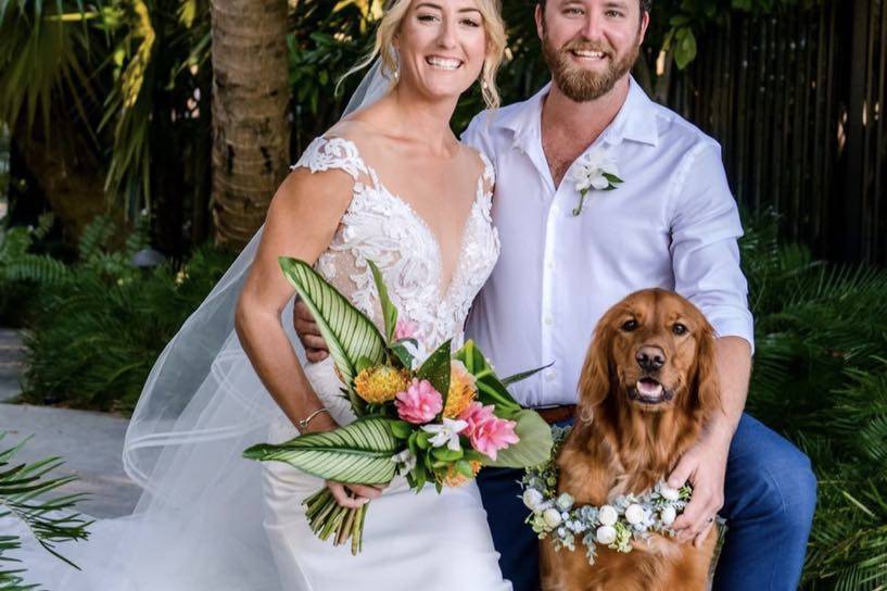 We are dog- friendly!