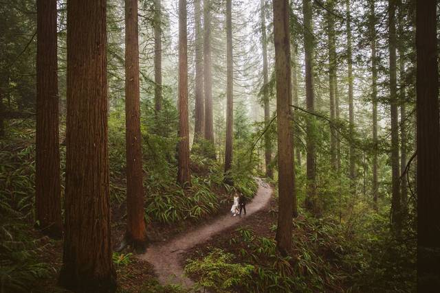 Redwood Deck Elopement