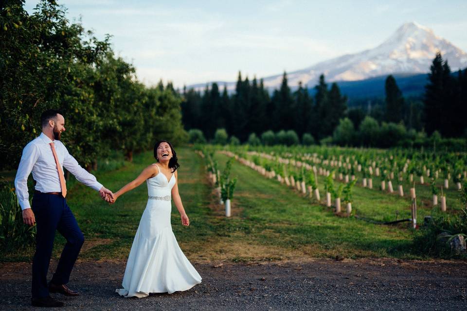 Mt View Orchards Wedding