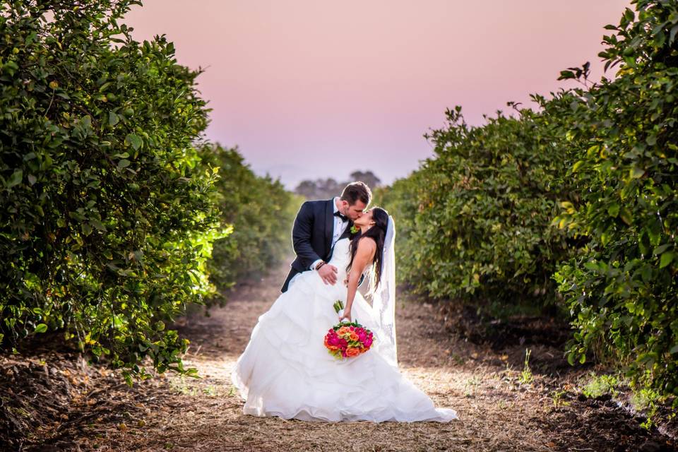 Vineyard wedding