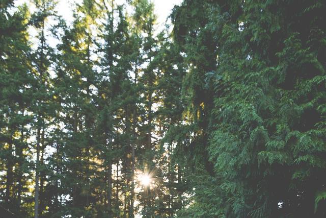 M. Hitchner Photography