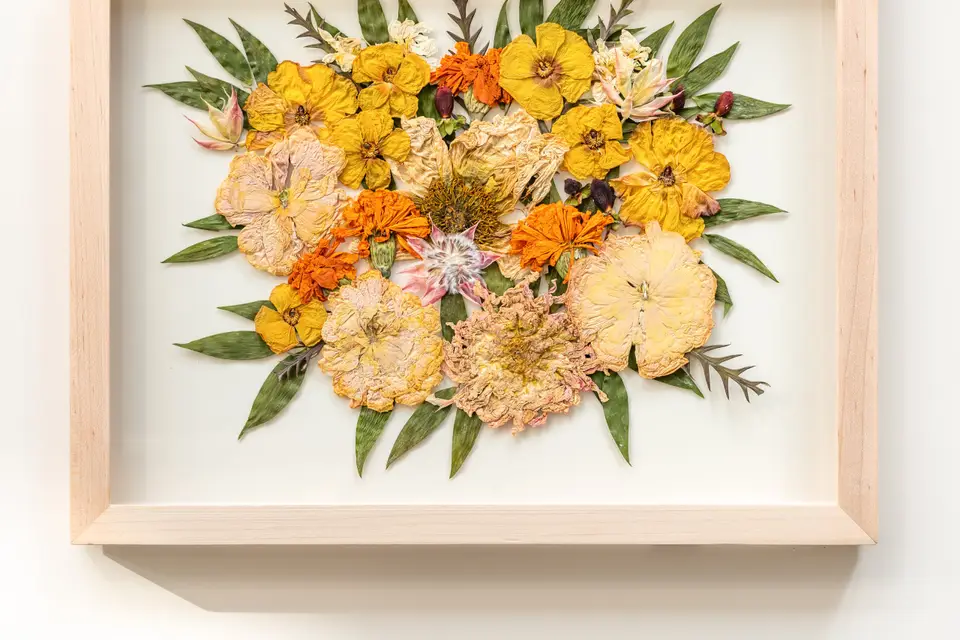 Pressed Flowers  History and Tutorial - Western Reserve Historical Society
