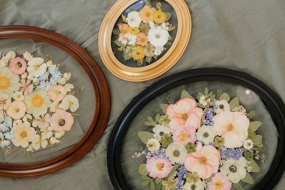 Oval Variety