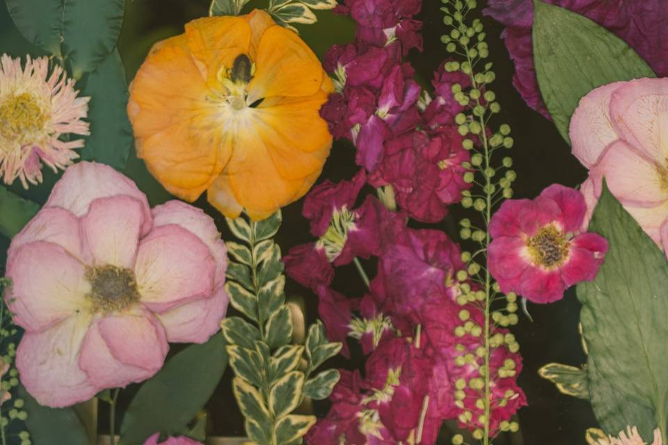 Pressed Floral close up
