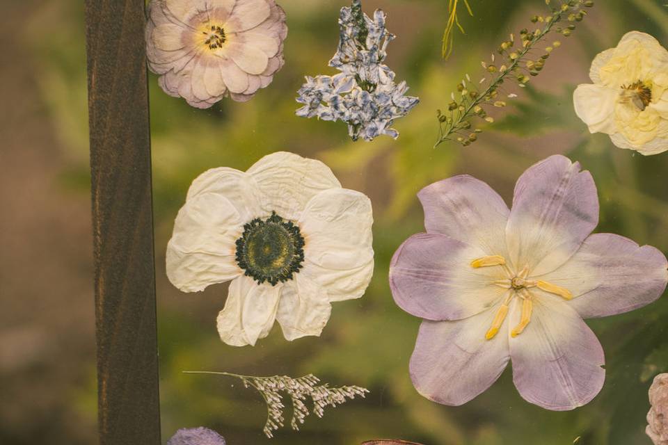 Pressed blooms