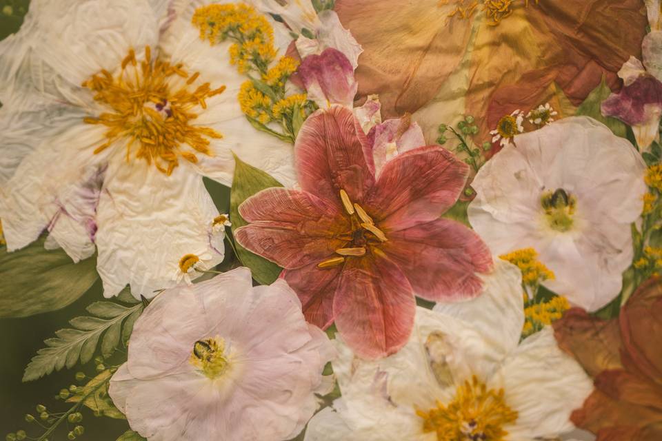 A close up of real pressed