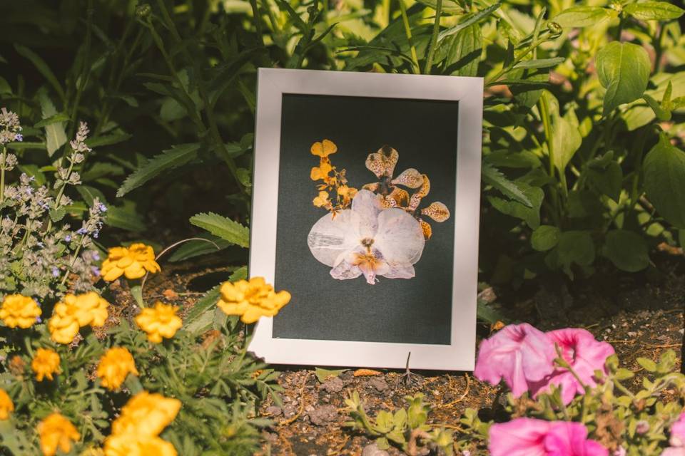 Preserve a boutonniere