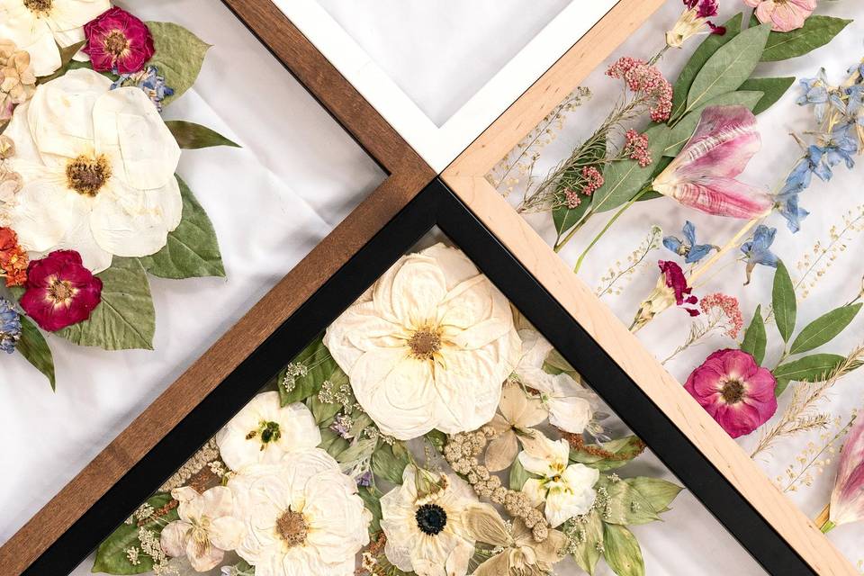 Multiple frame color options