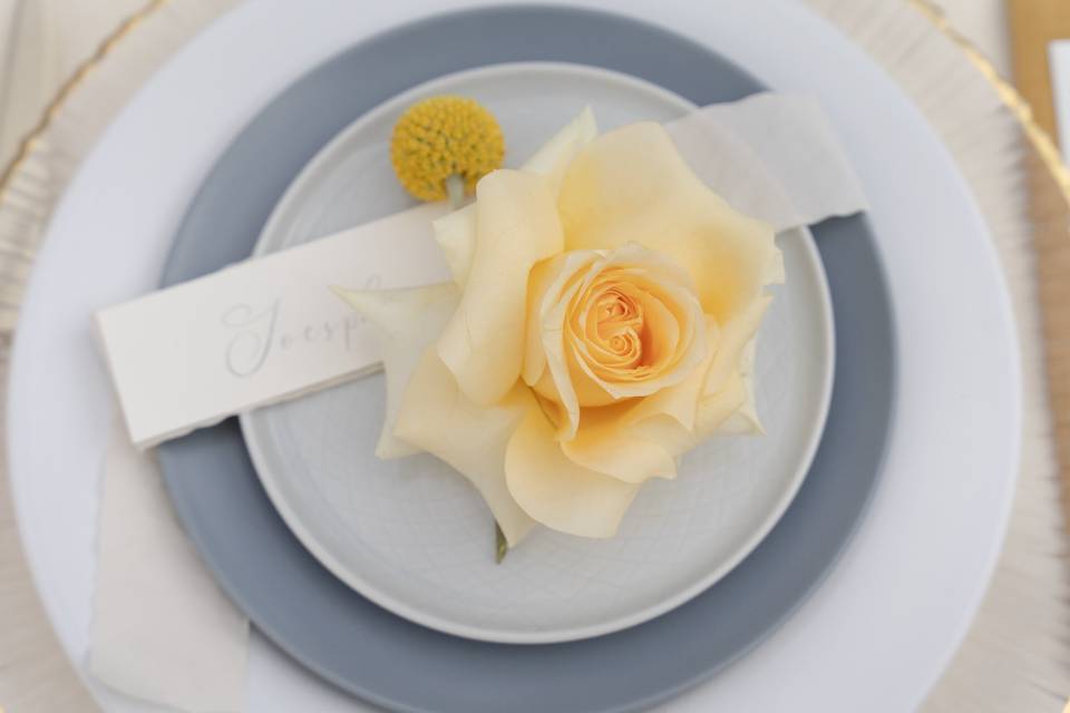 Place setting