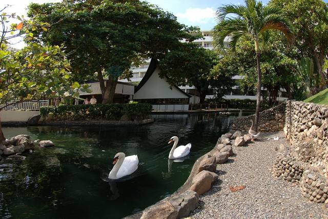 Caribe Hilton