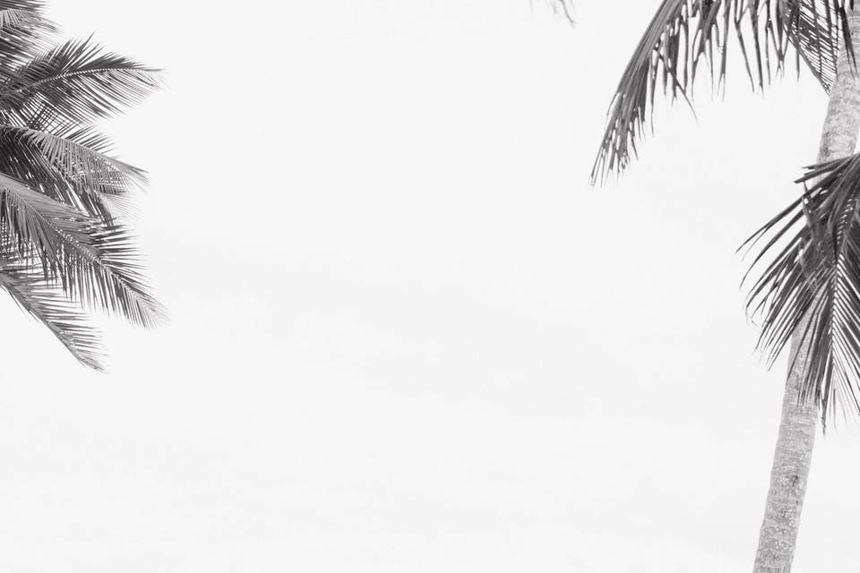 Punta Cana Destination Wedding