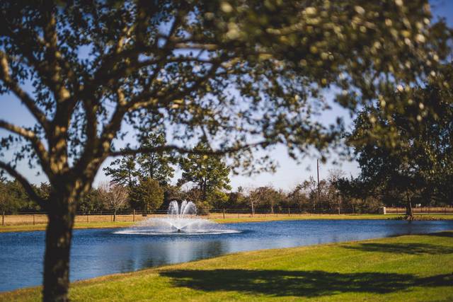 Majestic Oaks