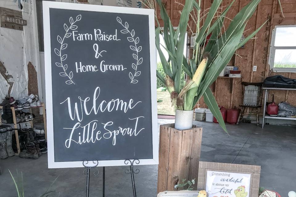 Baby Shower Chalk Sign