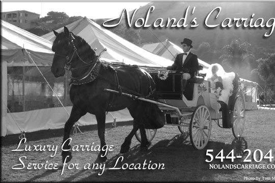 Nolands Horse Drawn Carriage