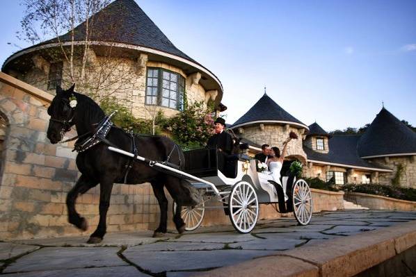 Nolands Horse Drawn Carriage