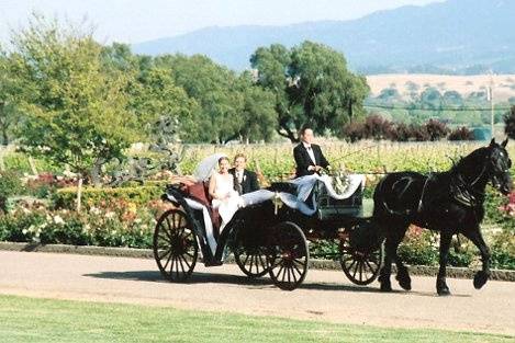 Nolands Horse Drawn Carriage