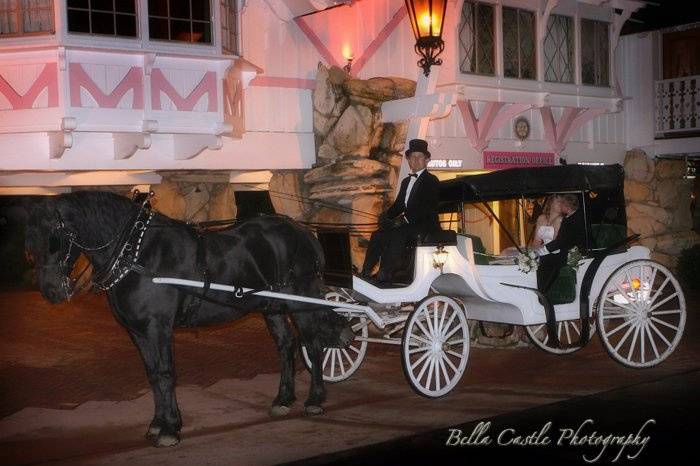 Nolands Horse Drawn Carriage