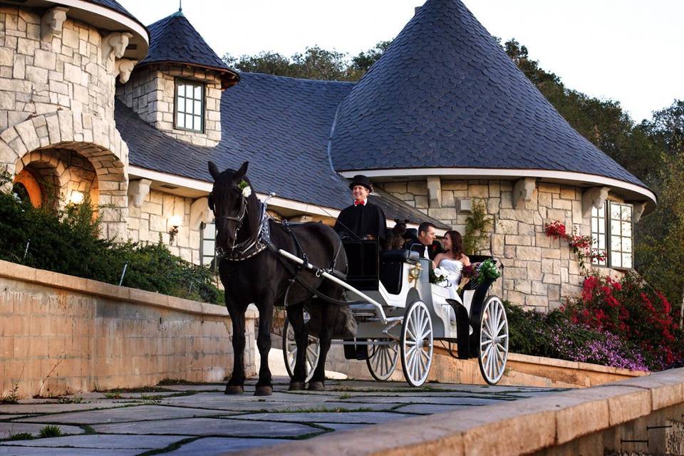 Nolands Horse Drawn Carriage