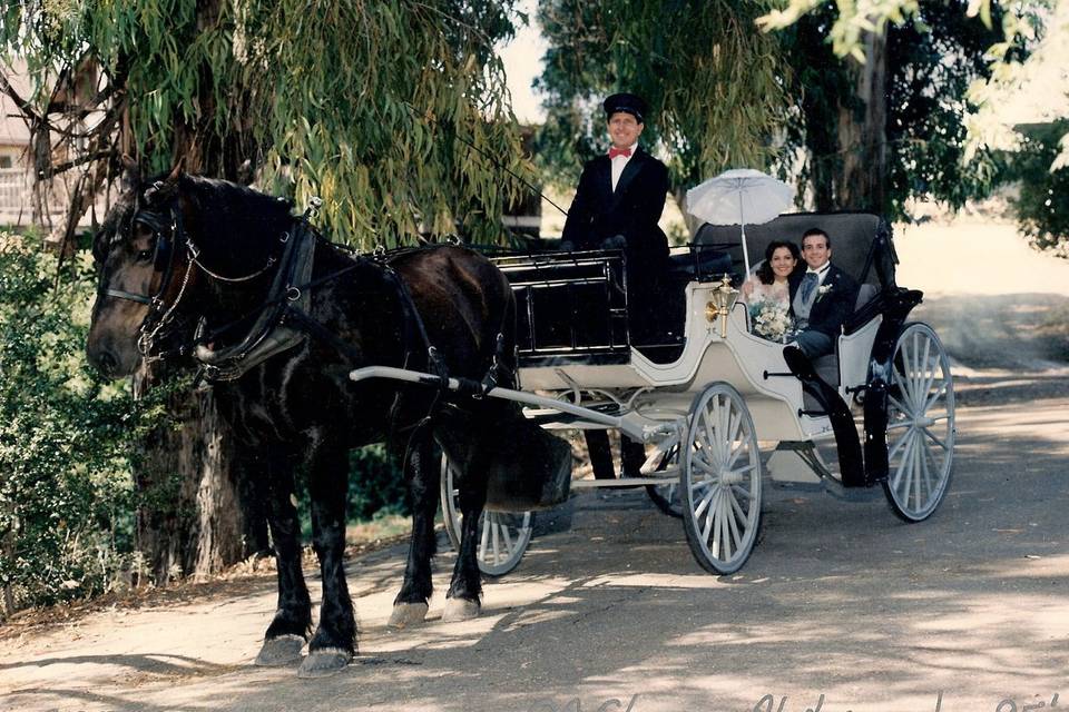 Nolands Horse Drawn Carriage