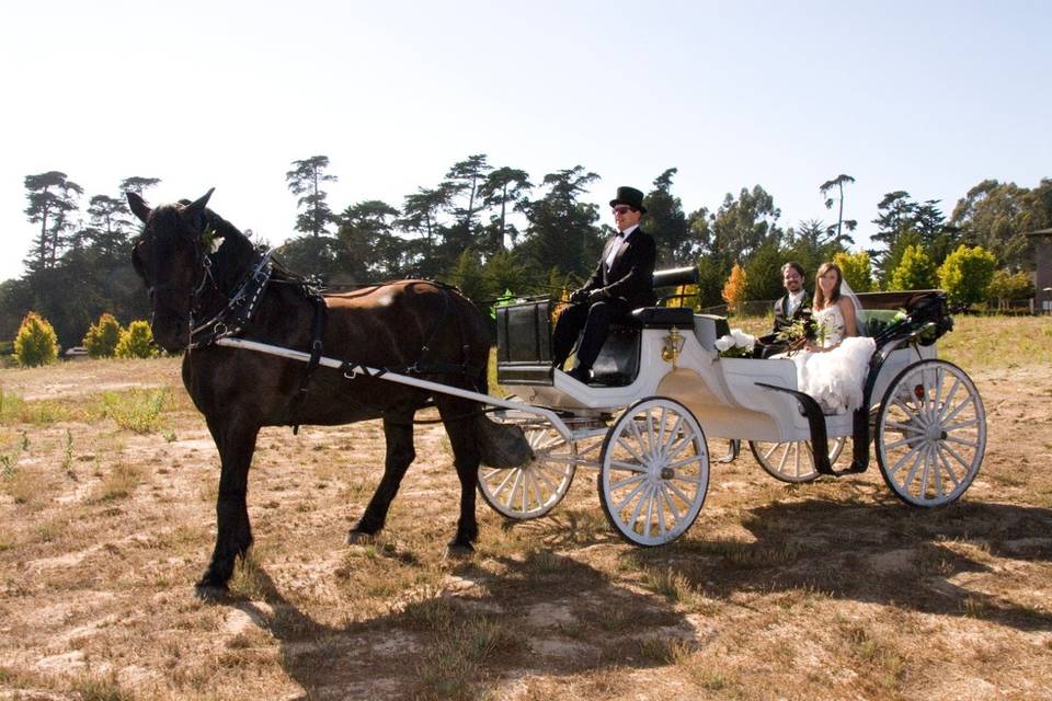 Nolands Horse Drawn Carriage