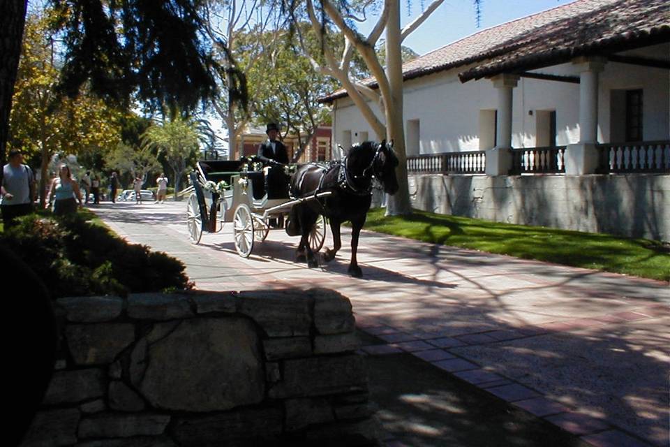 Nolands Horse Drawn Carriage