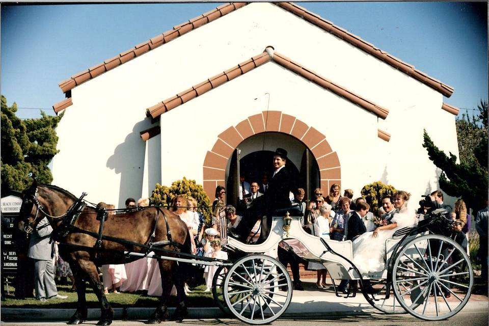 Nolands Horse Drawn Carriage