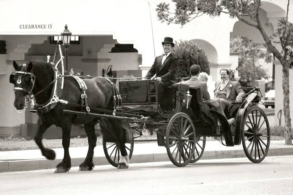 Nolands Horse Drawn Carriage