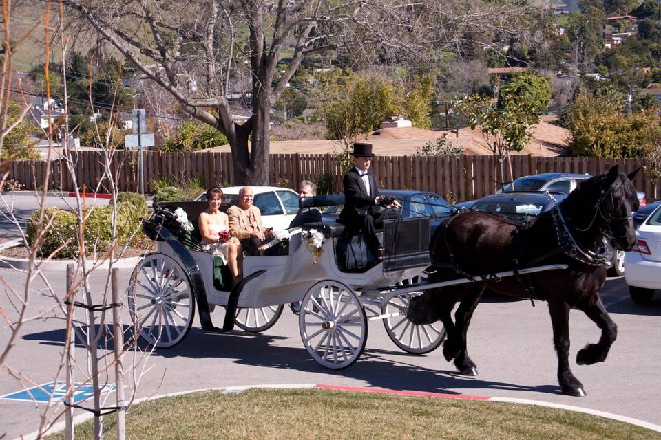 Nolands Horse Drawn Carriage