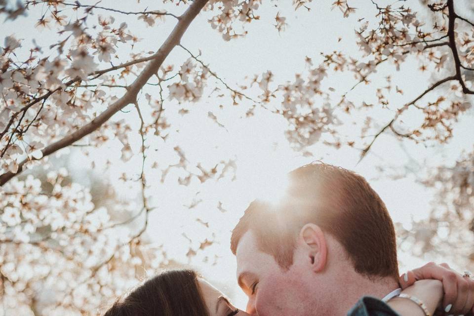 Stella Sharpe Photography