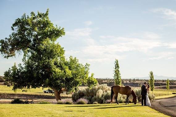 Brasada Ranch