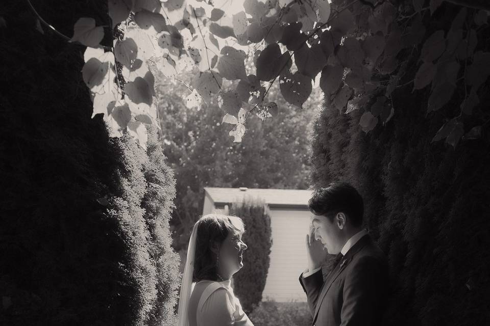Intimate First Look