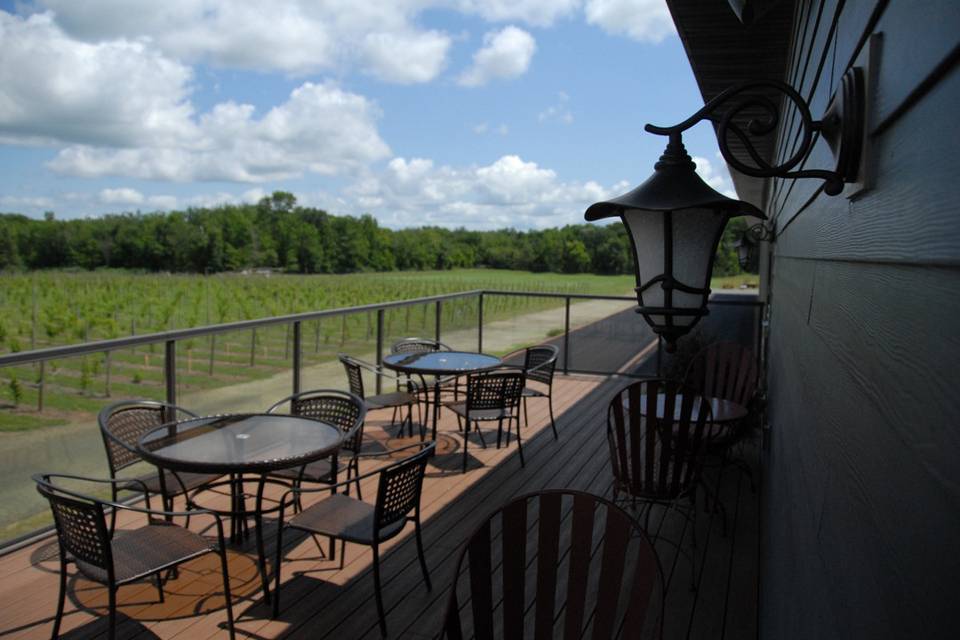 2nd floor deck with a view of the vineyard.