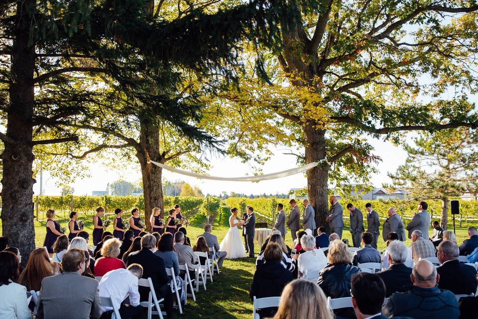 Ceremony site under the trees