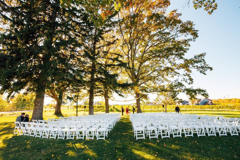 Ceremony under the trees