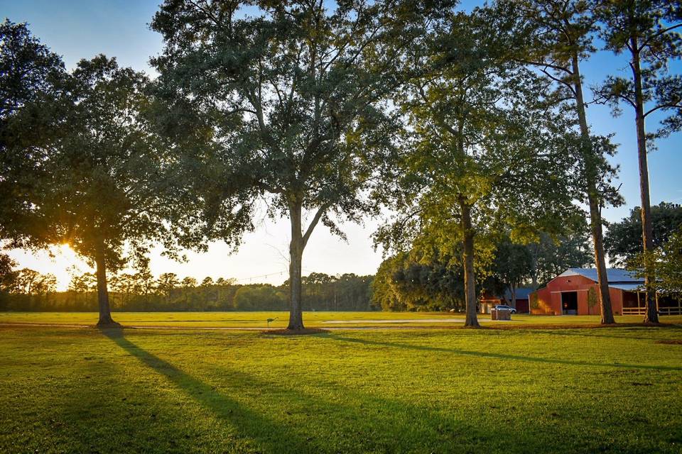 The farm illuminated