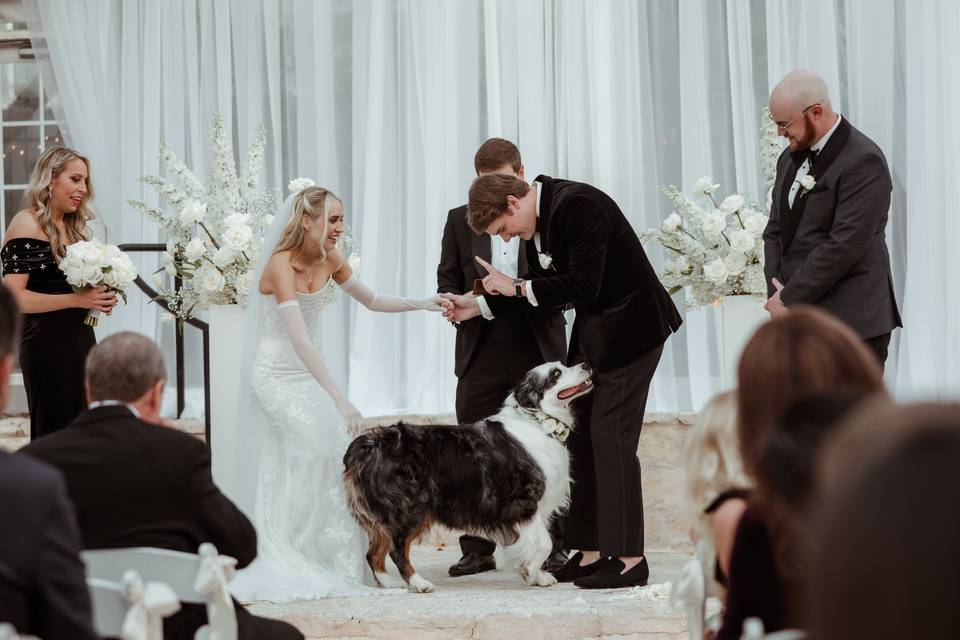 Austin Wedding Photography