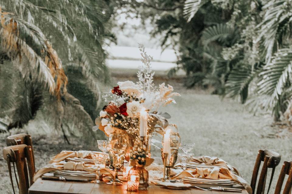 Place Setting in Grove trees