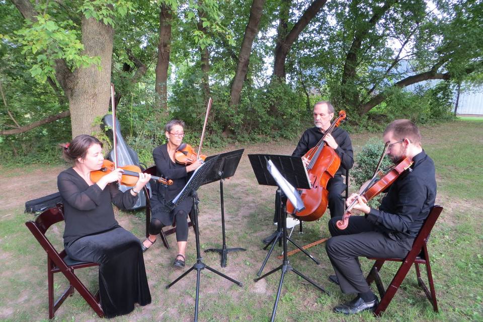 Cavatina String Quartet