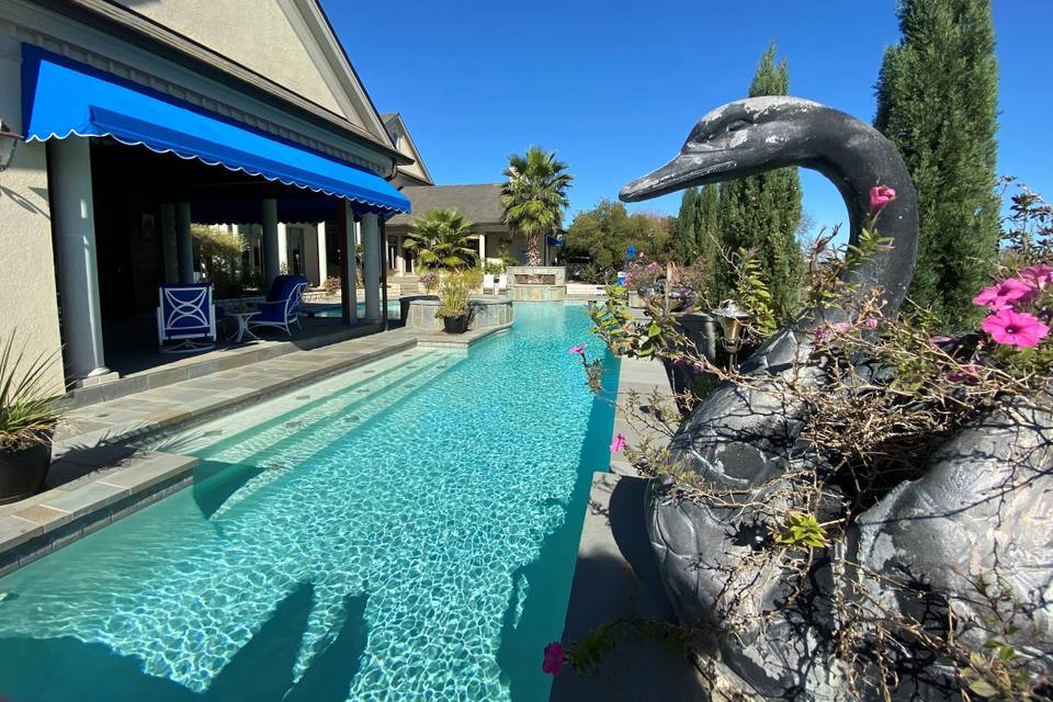 Pool from poolside grill
