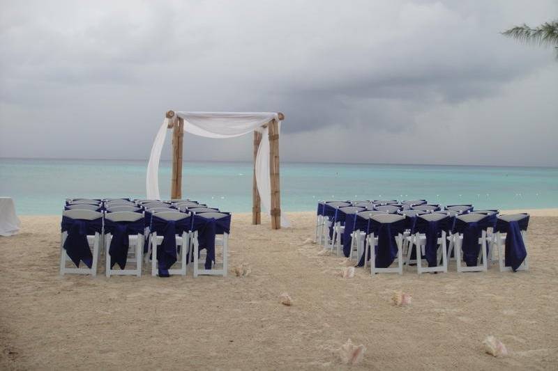 Navy blue chairs