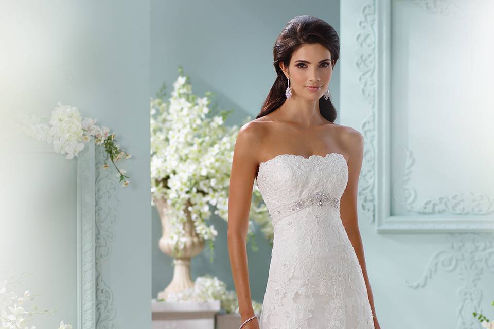 113211 – anitalace wedding dress, strapless embroidered lace with hand-beaded accents and tulle over satin a-line wedding dress, softly curved neckline, bodice features hand-beaded jeweled inverted empire waistband, scalloped hemline extends onto chapel length train, detachable spaghetti and halter straps included. Sizes0 – 20, 18w – 26wcolors ivory/oyster, ivory/gardenia, ivory/porcelain blue, ivory, white