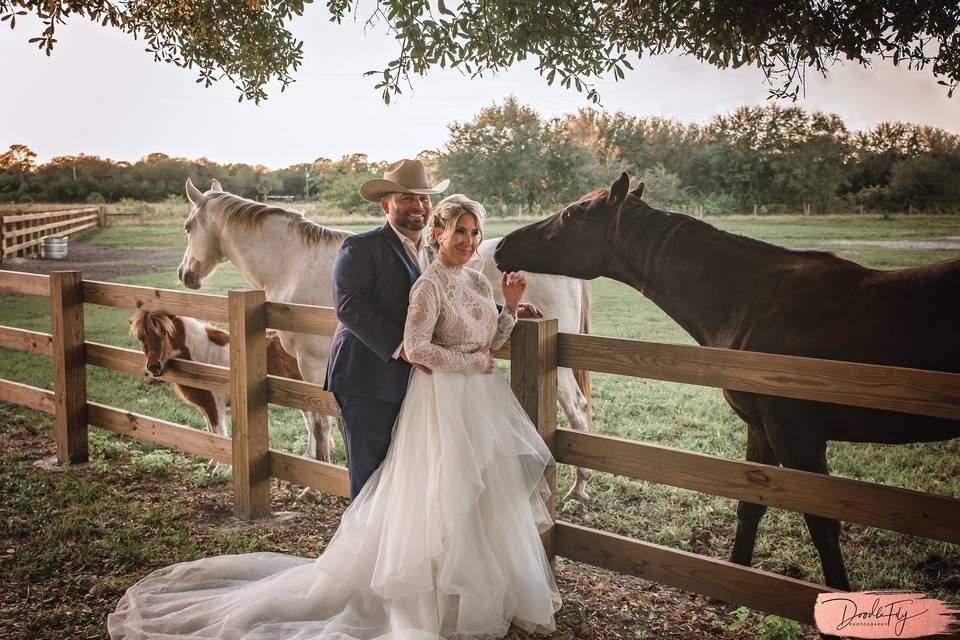 A-Line Ranch, North Fort Myers