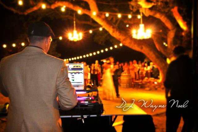 DJ Wayne Noel
