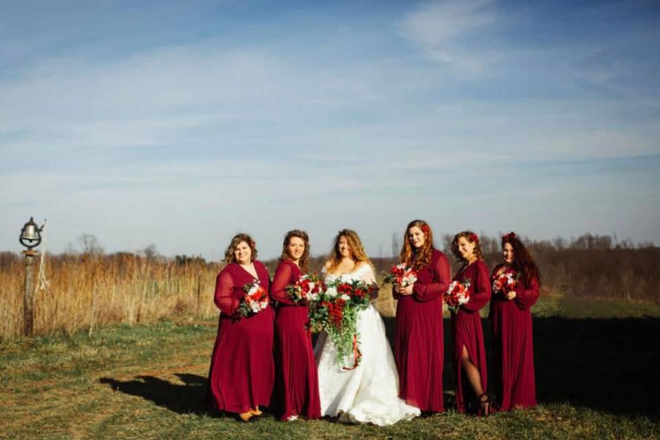 Bride and her maids