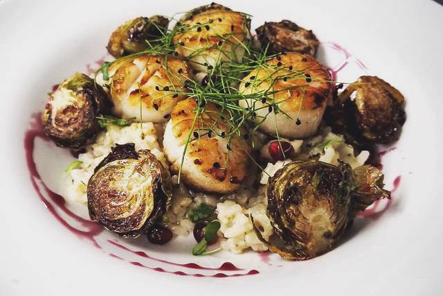 Scallops risotto