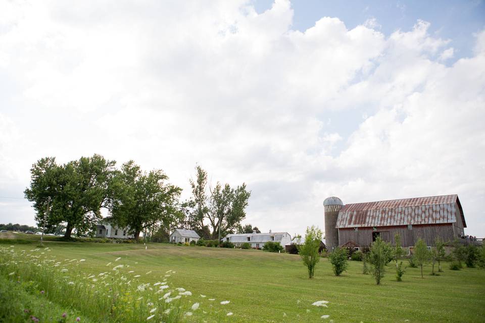 The barn