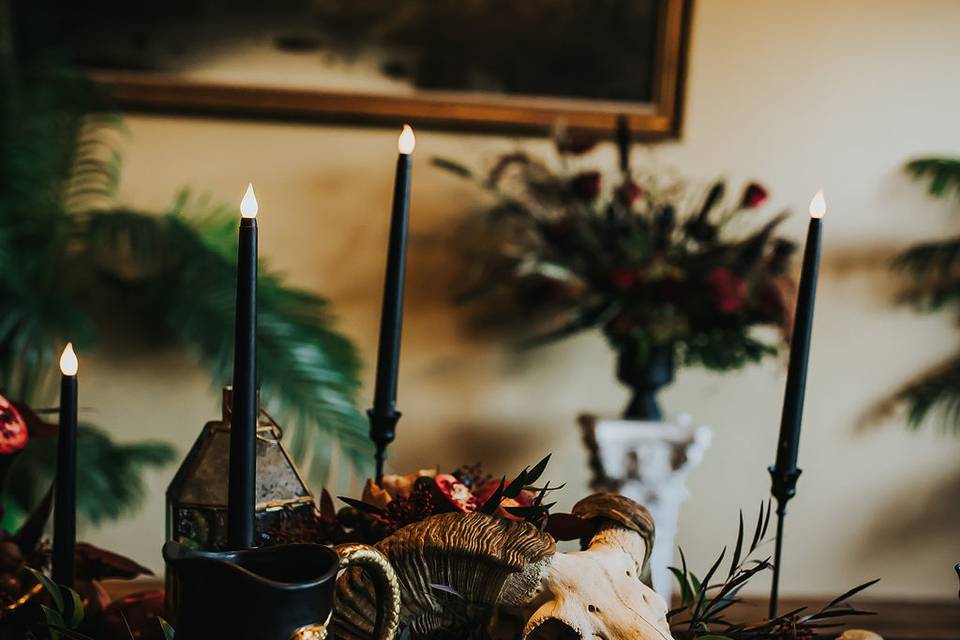 Photo by Megan Gallagher Photo