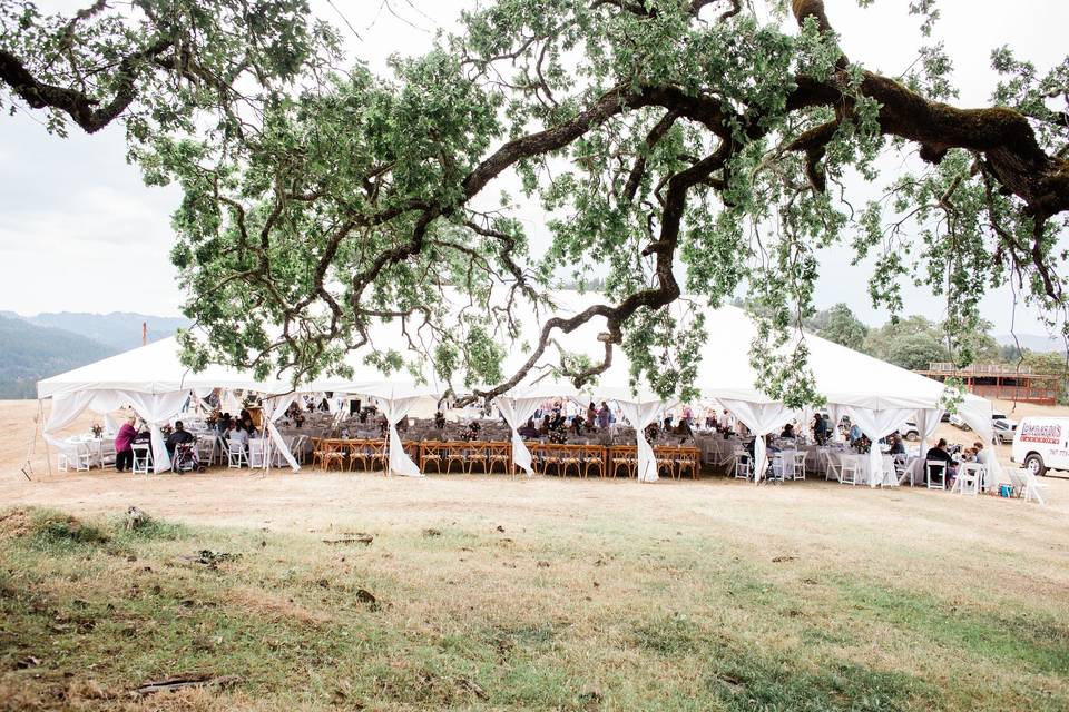 Under a tent