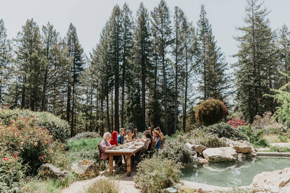 Outdoor Dinning